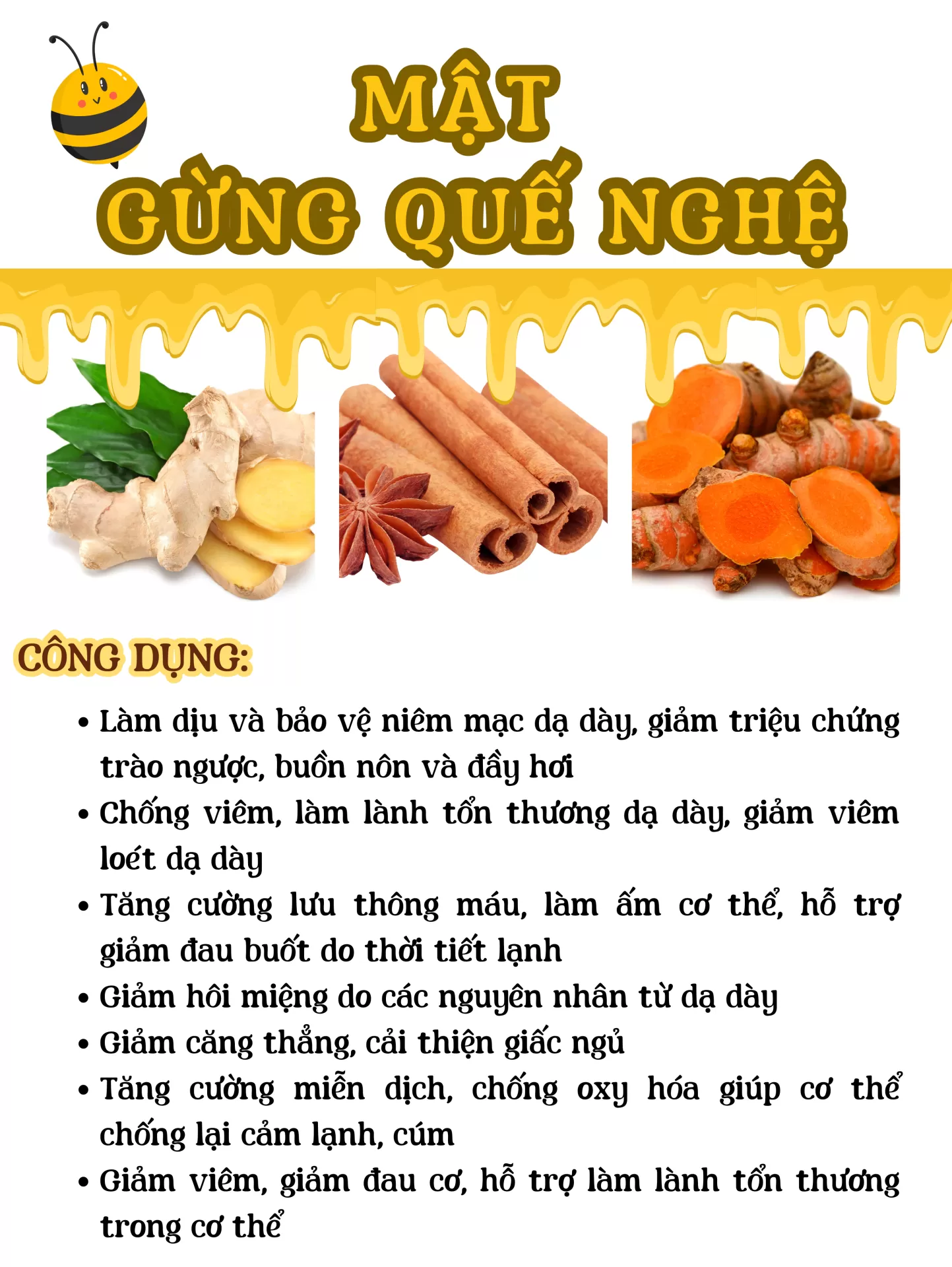 MẬT GỪNG QUẾ NGHỆ